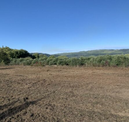 RARE ROGNES - constrcuteur de maison - Villas la Provençale