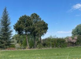 Terrain + maison Robion