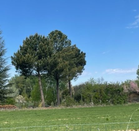 Terrain + maison Robion - constrcuteur de maison - Villas la Provençale
