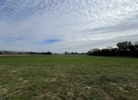 Villa de plain-pied avec terrain (Projet)