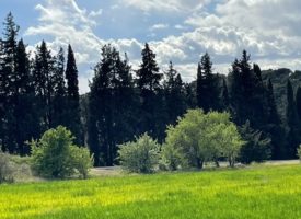 Secteur recherché sur Lançon de Provence