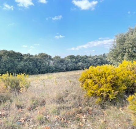 Secteur recherché sur Lançon de Provence - constrcuteur de maison - Villas la Provençale