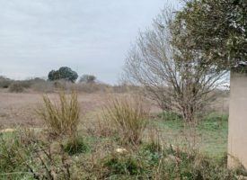 TERRAIN A BATIR FOS-SUR-MER