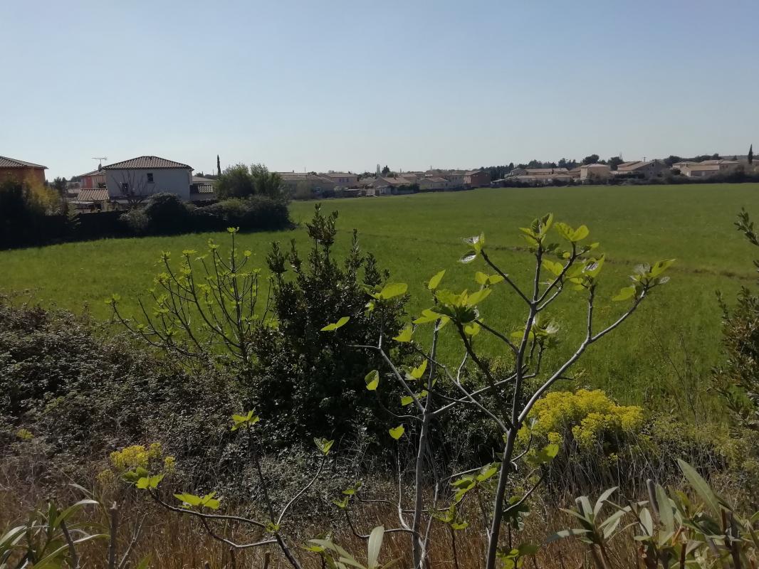 DERNIERE OPPORTUNITE SECTEUR CALME ET RESIDENTIEL - constrcuteur de maison - Villas la Provençale