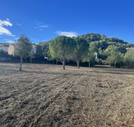 Lotissement à Rognes, au pied des oliviers - constrcuteur de maison - Villas la Provençale