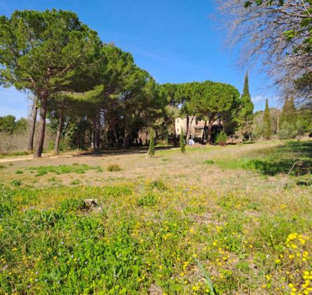 Magnifique terrain constructible sur Cadenet - constrcuteur de maison - Villas la Provençale