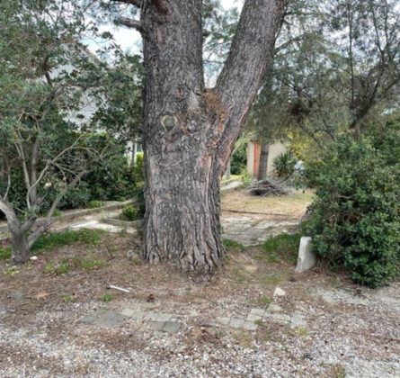 Terrain constructible sur Trets - constrcuteur de maison - Villas la Provençale