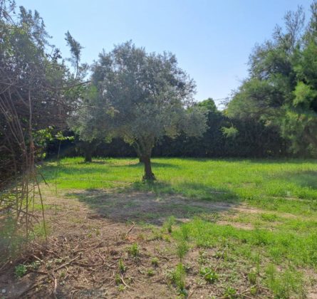 Proche Centre Ville ! - constrcuteur de maison - Villas la Provençale