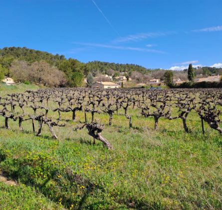 Votre maison en plein Lubéron pour 250.000 euros ! - constrcuteur de maison - Villas la Provençale