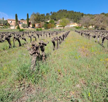 Votre maison en plein Lubéron pour 250.000 euros ! - constrcuteur de maison - Villas la Provençale