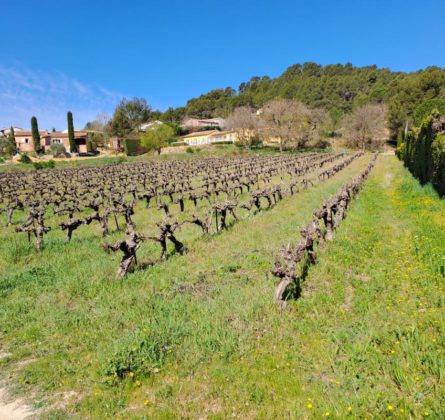 Votre maison en plein Lubéron pour 250.000 euros ! - constrcuteur de maison - Villas la Provençale