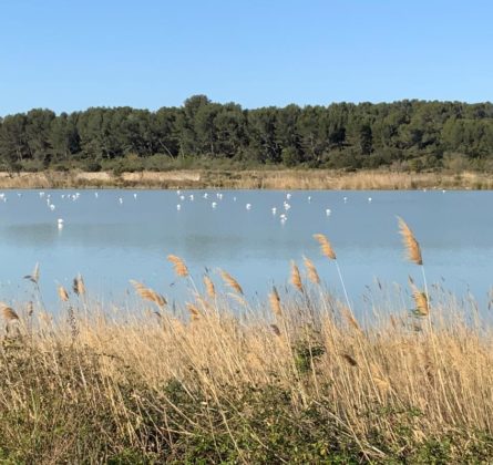opportunité a fos secteur privilégié - constrcuteur de maison - Villas la Provençale