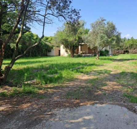 Proche Centre Ville ! - constrcuteur de maison - Villas la Provençale