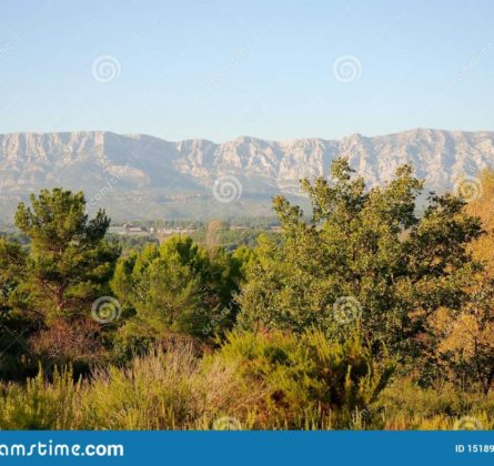 Terrain exceptionnel sur Saint Maximin - constrcuteur de maison - Villas la Provençale