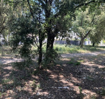 Projet villa de Plain-pied Rochefort du Gard - constrcuteur de maison - Villas la Provençale