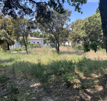 Projet villa de Plain-pied Rochefort du Gard - constrcuteur de maison - Villas la Provençale