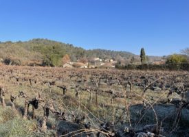 Projet terrain+construction Villelaure