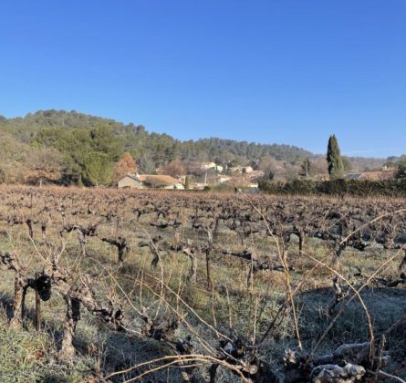 Projet terrain+construction Villelaure - constrcuteur de maison - Villas la Provençale
