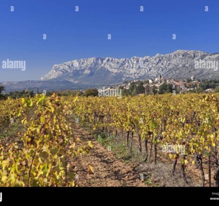 TERRAIN POURRIERES 500 M² CALME BELLE VUE - constrcuteur de maison - Villas la Provençale