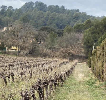 Terrains à bâtir de 930m² à  Villelaure (84) - constrcuteur de maison - Villas la Provençale