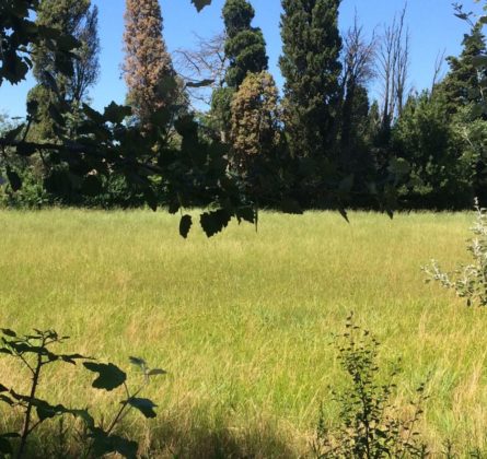 RARE : TERRAIN RESIDENTIEL A CAPHAN - constrcuteur de maison - Villas la Provençale