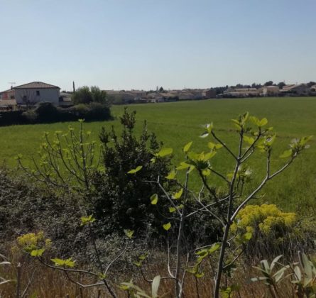 RARE : TERRAIN RESIDENTIEL A CAPHAN - constrcuteur de maison - Villas la Provençale