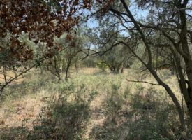 Villa neuve plain-pied avec terrain