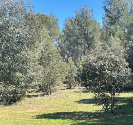 Salon de Provence,  très belle parcelle au calme et arborée - constrcuteur de maison - Villas la Provençale