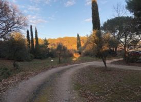 Pertuis, très belle parcelle arborée et viabilisée et la possibilité de la diviser en 2 terrains de 600 m² chacun