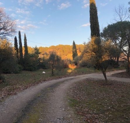 Pertuis, très belle parcelle arborée et viabilisée et la possibilité de la diviser en 2 terrains de 600 m² chacun - constrcuteur de maison - Villas la Provençale