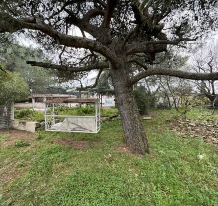 Terrain constructible de Villeneuve les Avignon - constrcuteur de maison - Villas la Provençale