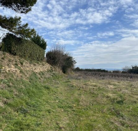 Terrain avec vue - constrcuteur de maison - Villas la Provençale