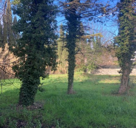 Terrain constructible VELLERON - constrcuteur de maison - Villas la Provençale