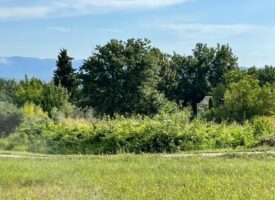 Ne laissez pas passer cette opportunité ! 415 m² sur Pelissanne