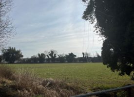 TERRAIN A BATIR SAINT MARTIN DE CRAU