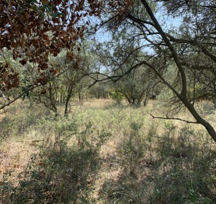Villa 70m² – Plain-pied - constrcuteur de maison - Villas la Provençale