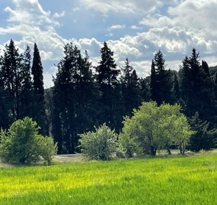 Lançon de Provence, explorez l’harmonie entre nature et habitation - constrcuteur de maison - Villas la Provençale