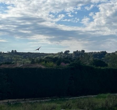 Terrain Constructible DOMAZAN - constrcuteur de maison - Villas la Provençale