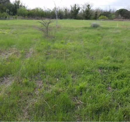 Terrain à bâtir pour construction neuve - constrcuteur de maison - Villas la Provençale