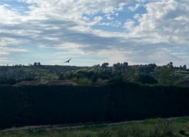 Terrain constructible DOMAZAN