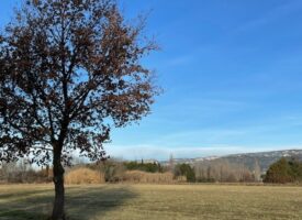 Belle parcelle de terrain de 2000 m² nichée dans la nature