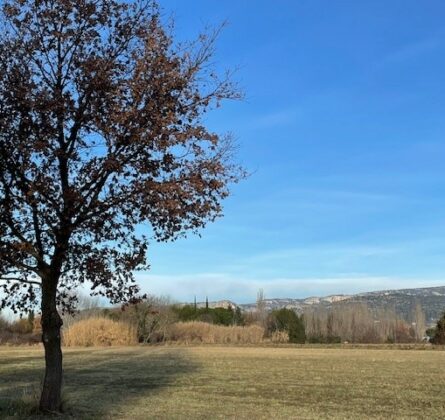 Belle parcelle de terrain de 2000 m² nichée dans la nature - constrcuteur de maison - Villas la Provençale