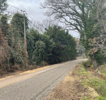 Belle parcelle de terrain de 2000 m² nichée dans la nature - constrcuteur de maison - Villas la Provençale