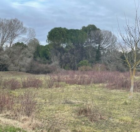 Belle parcelle de terrain de 2000 m² nichée dans la nature - constrcuteur de maison - Villas la Provençale