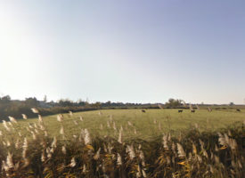 Dernière opportunité Terrain de 380m² à Arles