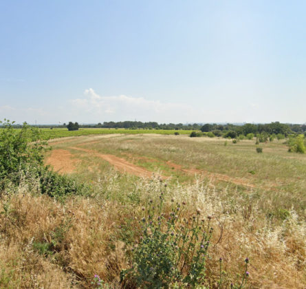 Terrain + Maison à Laudun-l’Ardoise - constrcuteur de maison - Villas la Provençale