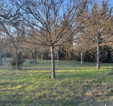 Terrain constructible Maillane - constrcuteur de maison - Villas la Provençale