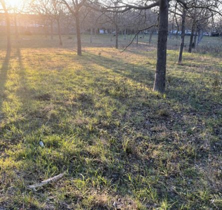 Terrain constructible Maillane - constrcuteur de maison - Villas la Provençale