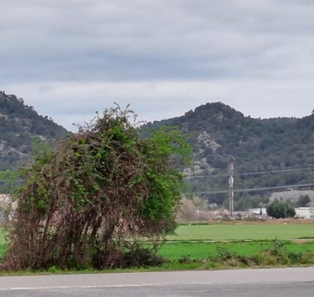 Bastide de 100 M2 habitables sur un terrain de 257 M2 sur Peyrolles en Provence - constrcuteur de maison - Villas la Provençale