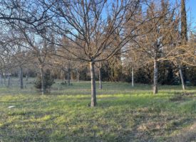 Terrain constructible Maillane